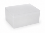 Christening Box Frosted